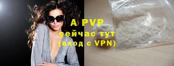 крисы Лагань