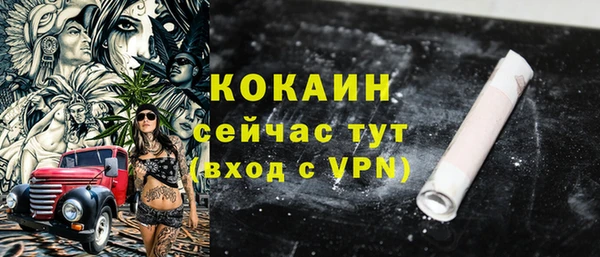 крисы Лагань