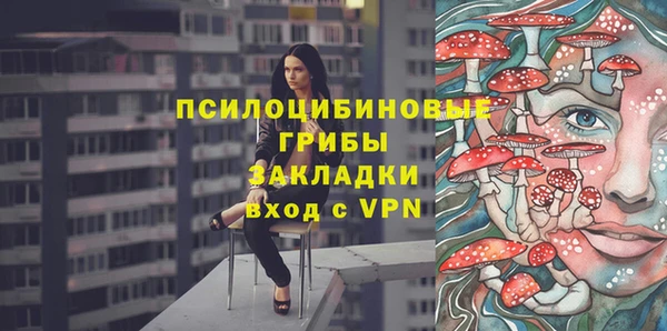 гидра Лиски