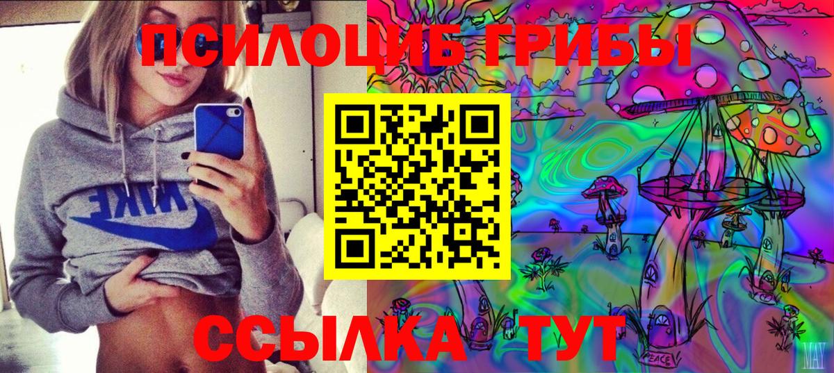 Химки  Псилоцибиновые грибы Magic Shrooms  Вход с VPN 