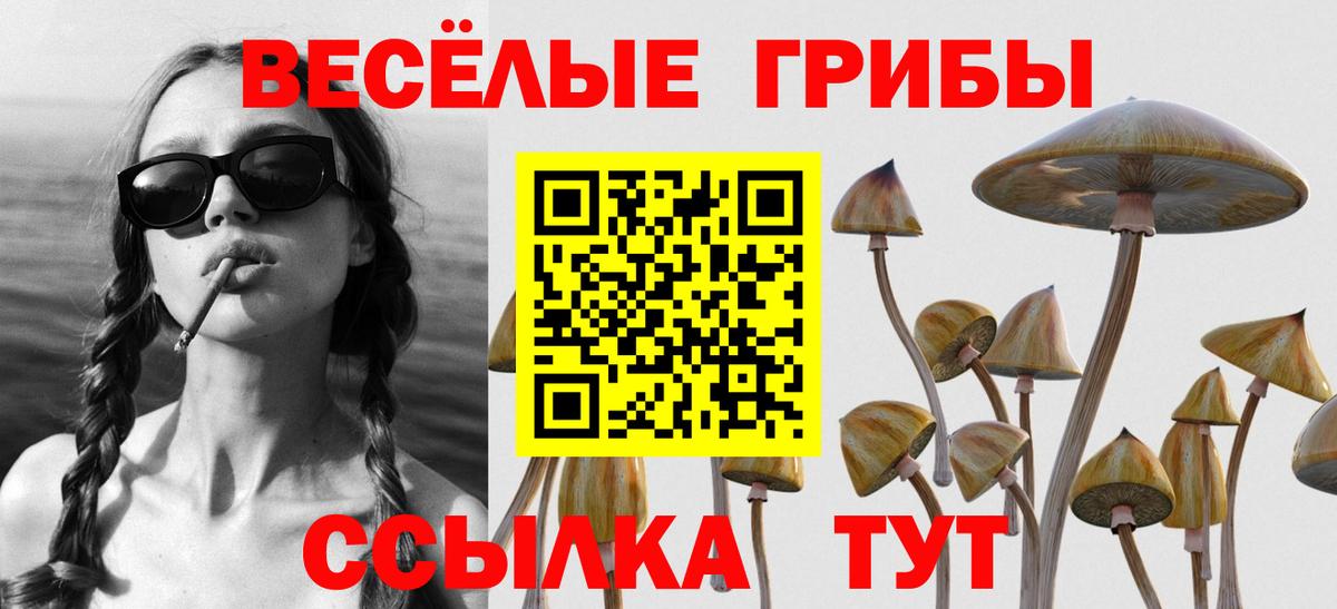 Псилоцибиновые грибы MAGIC MUSHROOMS Химки